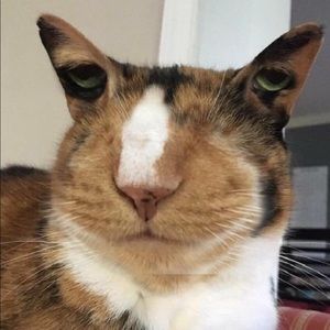 Meet your Posher, Marianna